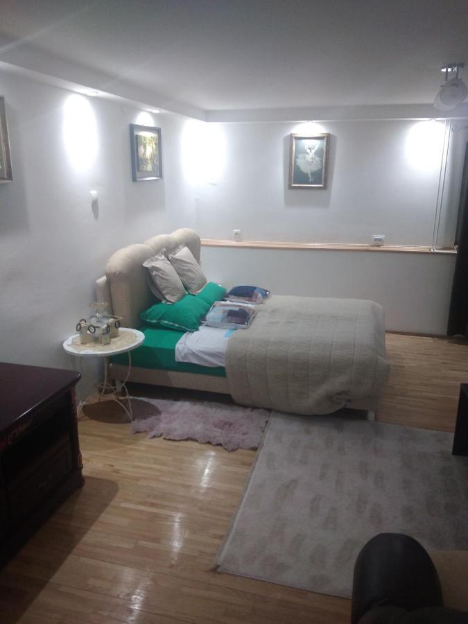 Goksi Apartment Subotica Zewnętrze zdjęcie